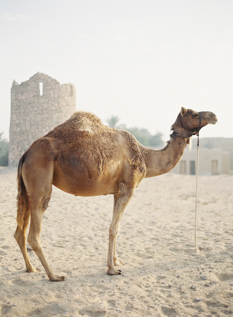 Dubai Desert Bridal | Dubai Destination Fine Art Wedding Photographer | 